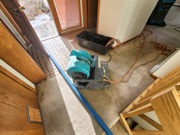 Best Water damage restoration mold remediation  in Watertown, NY