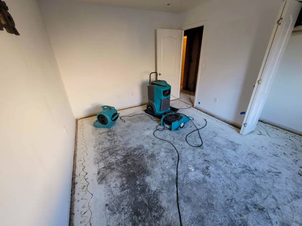 Best Basement water damage restoration  in Watertown, NY