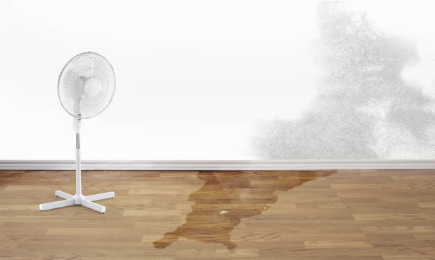 Best Water damage contractors near me  in Watertown, NY