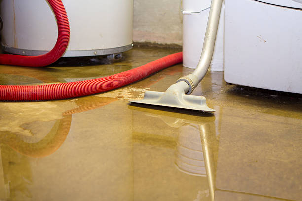 Best Water damage restoration process  in Watertown, NY