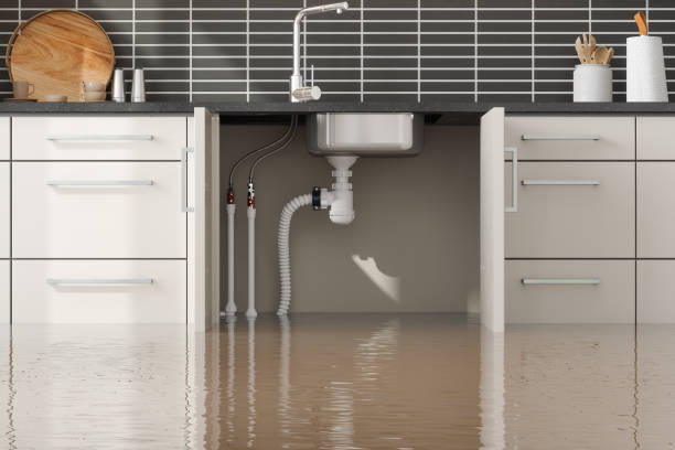  Watertown, NY Water damage restoration Pros